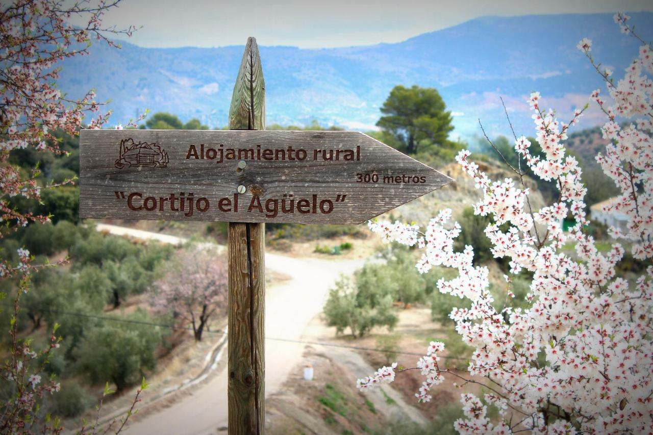 Alojamiento Rural El Agueelo Huelma Exteriör bild